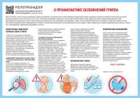 Школьные медиа