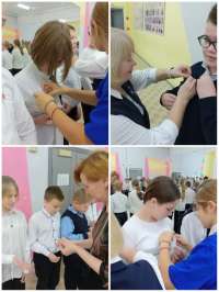 Советник по воспитанию